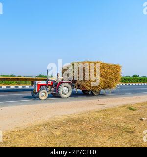 RAJASTHAN, INDIA - OCT 24: straw  transport with tractor on highway on Oct 24, 2012 in Rajasthan, India. Stock Photo