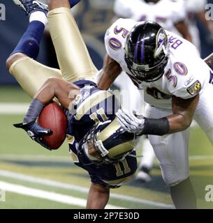 Baltimore Ravens defensive tackle Calais Campbell (93) takes to the field  before an NFL football game against the Denver Broncos, Sunday, Dec. 4,  2022, in Baltimore. (AP Photo/Nick Wass Stock Photo - Alamy