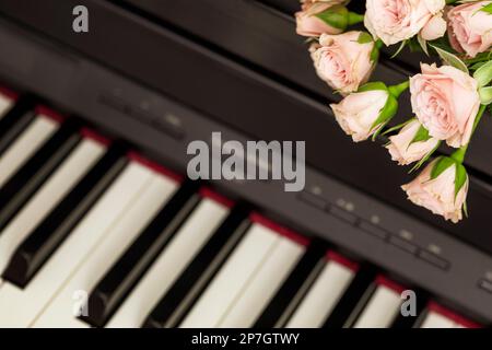 Romantic holiday composition with pink roses on piano. Piano lessons, music education, hobby, entertainment and concert concept. Mothers day , womans Stock Photo