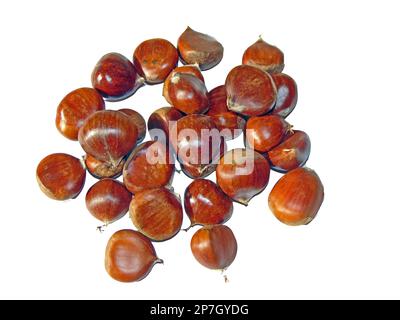 chestnuts isolated on white background Stock Photo