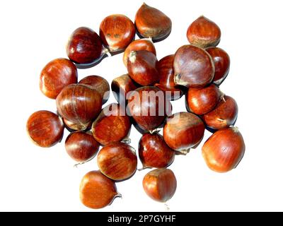 chestnuts isolated on white background Stock Photo