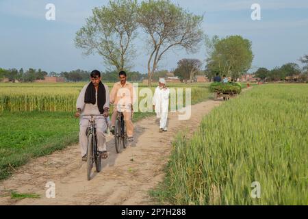 Portrait of a young boys in Village Stock Photo