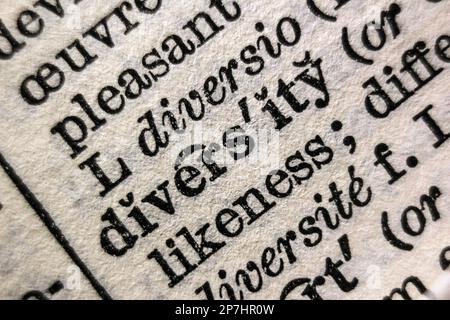 Definition of word diversity on dictionary page, close-up Stock Photo