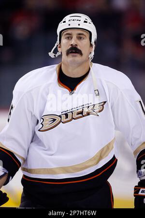 NHL player profile photo on Anaheim Ducks' George Parros during a recent  game in Calgary, Alberta. The Canadian Press Images/Larry MacDougal  (Canadian Press via AP Images Stock Photo - Alamy