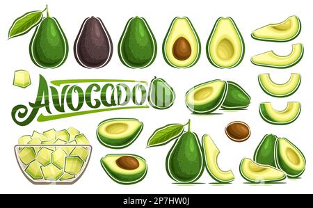 Vector Avocado Set, banner with collection of cut out illustrations veggie still life composition with green leaves, ripe chopped avocado in glass dis Stock Vector