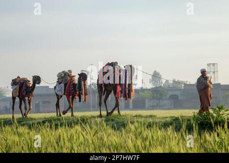 People of village areas of Punjab Stock Photo