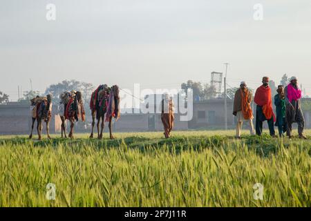 People of village areas of Punjab Stock Photo