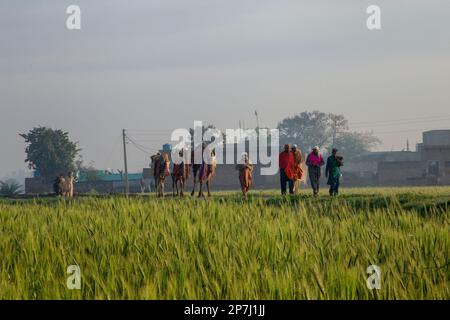 People of village areas of Punjab Stock Photo