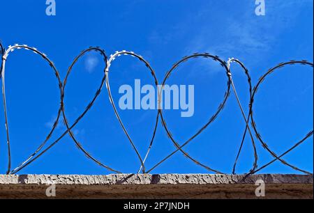 Barbed wire on top of the wall Stock Photo