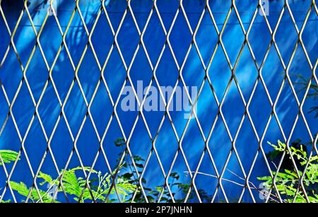 Green mesh, rhombus grid on blue background Stock Photo