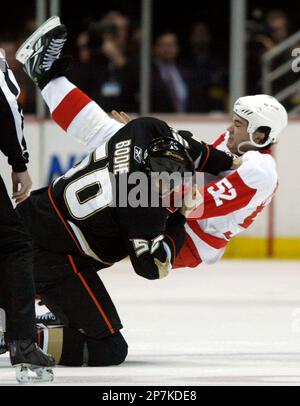 Anaheim Ducks right wing Troy Bodie left and Detroit Red Wings