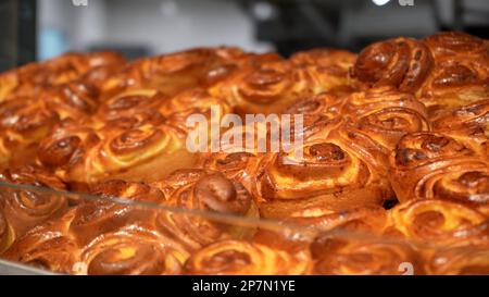 Rows of Warm Freshly Baked Bread Rolls on Display in Bakery Stand at Local Grocery Store Stock Photo