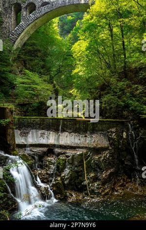 Small waterfall coming out from a dam in a beautiful national park, Vintgar Gorge, Bled, Slovenia Stock Photo