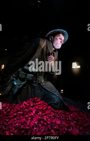 Soldier in the Gallipoli: The Scale of Our War exhibition in the Museum of New Zealand, Te Papa, Tongarewa, Wellington, New Zealand. Cecil Malthus Stock Photo
