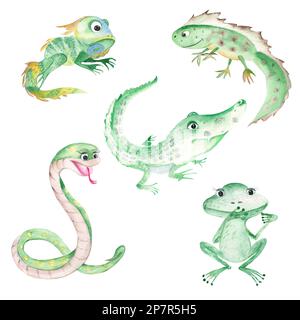 Reptile and amphibians set. Cute frog, snake, iguana, crocodile and newt isolated on white background. Watercolor hand drawn illustration. Stock Photo