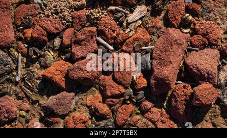 Textured background of Red Lava Rocks Stock Photo