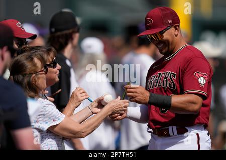 This is a 2023 photo of Arizona Diamondbacks' Phillip Evans. This image  reflects the Arizona Diamondbacks' active roster as of Wednesday, Feb. 22,  2023, when this image was taken in Scottsdale, Ariz. (