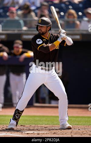 San Diego Padres' Alfonso Rivas bats during the second inning of a spring  training baseball game against the Texas Rangers Wednesday, March 1, 2023,  in Peoria, Ariz. (AP Photo/Charlie Riedel Stock Photo 