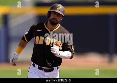 San Diego Padres' Alfonso Rivas bats during the second inning of a spring  training baseball game against the Texas Rangers Wednesday, March 1, 2023,  in Peoria, Ariz. (AP Photo/Charlie Riedel Stock Photo 