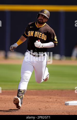 San Diego Padres' Alfonso Rivas bats during the second inning of a spring  training baseball game against the Texas Rangers Wednesday, March 1, 2023,  in Peoria, Ariz. (AP Photo/Charlie Riedel Stock Photo 