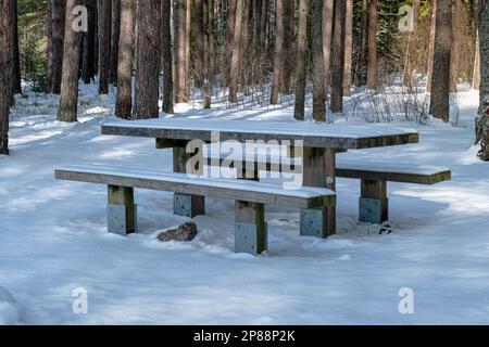 A deep, heavy layer of untouched, fresh, fluffy white snow covers picnic tables and benches in Gauja National Park, mid-winter, on a clear sunny day Stock Photo