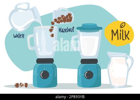 Recipe How to make Vegan hazelnut milk in glass bottle, alternative non dairy drink, vector Illustration on white background, Stock Vector