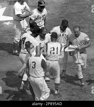 Reggie Smith of the St. Louis Cardinals is congratulated by coach George  Sparky Anderson and the Cincinnati Reds as he heads home after hitting a  home run during the 7th inning of