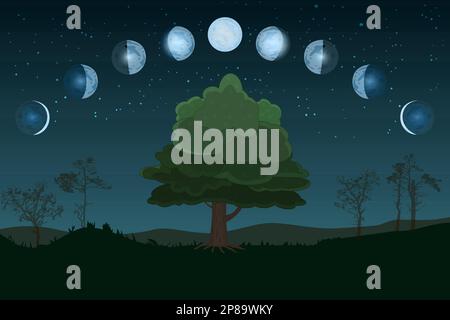 Moon phases. Whole cycle from new moon to full. Lunar cycle change. New, waxing,quarter,crescent,half, full,waning,eclipse.Night landscape with trees Stock Vector