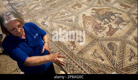 Miriam Avissar, an archeologist for Israel's Antiquities Authority, gestures as she stands next to part of a 600 square foot Roman mosaic dated to about 300 A.D., after it was unveiled in Lod, central Israel, Wednesday, July 1, 2009. Israeli authorities unveiled one of the largest and best preserved mosaics ever found in the country Wednesday for only the second time since it was discovered more than a decade ago. It's covered with detailed pictures of birds, fish, mammals and merchant sailing ships from the period. (AP Photo/Sebastian Scheiner)