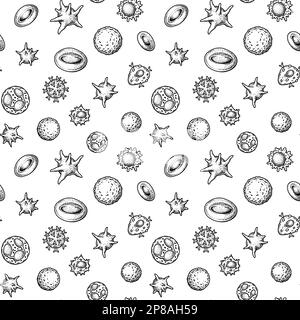 Blood cells seamless pattern. Hand drawn erythrocytes, leukocytes and platelet. Scientific biology illustration in sketch style Stock Vector