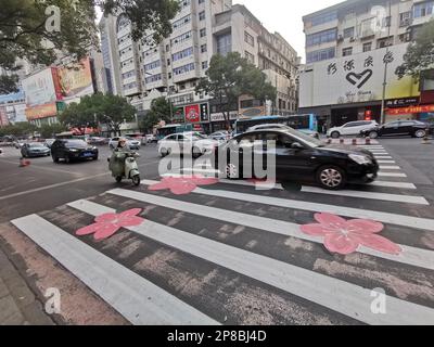 https://l450v.alamy.com/450v/2p8bj4d/shiyan-china-07th-mar-2023-shiyan-china-march-7-2023-a-colorful-cherry-blossom-zebra-crossing-is-seen-in-shiyan-city-hubei-province-china-march-7-2023-photo-by-cfotosipa-usa-credit-sipa-usalamy-live-news-2p8bj4d.jpg