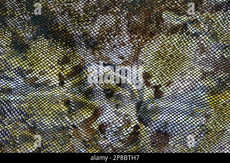 Snakeskin print leather cut as background textured and wallpaper. Rustic style Stock Photo