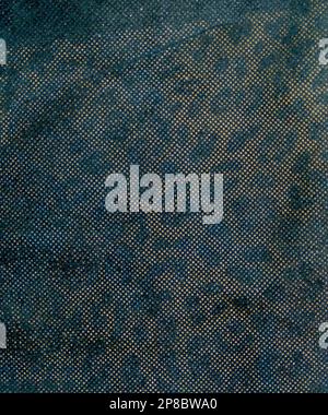 Panther pattern printed leather cut as background textured and wallpaper. Rustic style Stock Photo
