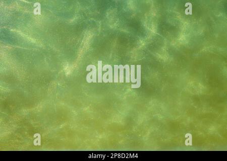 Green Shiny Abstract Background. Paints, Acrylic, Glitter in Water. Green Shiny Liquid Surface, Ripples, Waves. Stock Photo