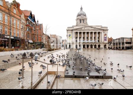 Pigeons in theThe Old Market Square, Nottingham City Centre. Stock Photo