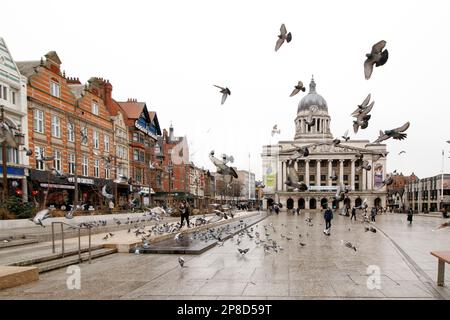 Pigeons in theThe Old Market Square, Nottingham City Centre. Stock Photo