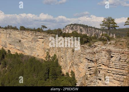 Tree covered cliffs, Serrania de Cuenca Natural Park, Cuenca, Castilla-La Mancha, Spain Stock Photo