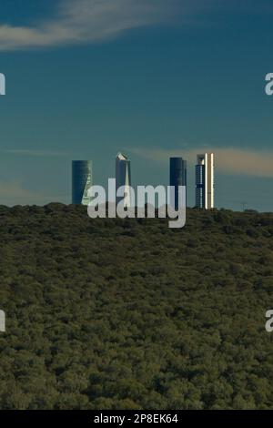 Four skyscrapers above treetops, Cuatro Torres Business Area, Madrid, Spain Stock Photo