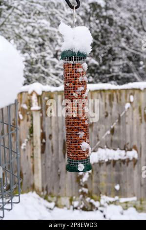 Bird feeder filled with peanuts, covered in snow on a garden feeding station. Stock Photo