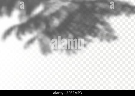 The effect of overlaying shadows.Realistic shadow tropical leaves and branches on transparent checkered background. Natural light layout. Stock Vector