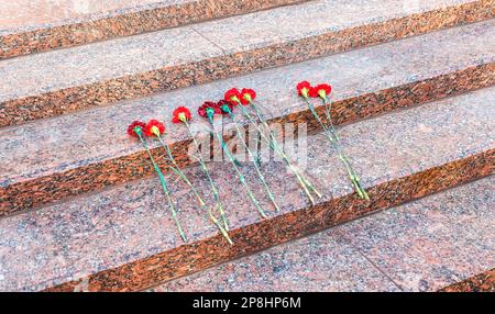 Red carnation flowers on granite steps near the eternal flame on the Tomb of the Unknown Soldier near the Kremlin wall in Moscow, Russia Stock Photo