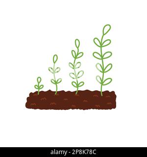 Growing plant in the soil phases concept. Gardening print showing stages Stock Vector