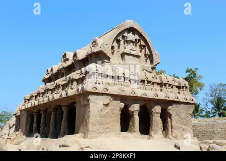 Bhima Ratha  a monument in the Pancha Rathas complex at Mahabalipuram, Mahabalipuram, Tamil Nadu, India Stock Photo