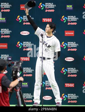 Japanese Shohei Ohtani celebrates after winning the World Baseball Classic ( WBC) Pool B match between Japan