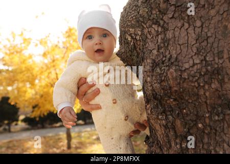 Father holding his baby daughter near tree in park on sunny autumn day, closeup Stock Photo