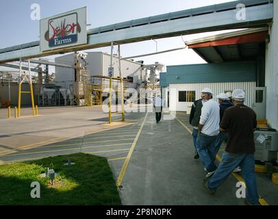 Setton Pistachio of Terra Bella Inc. is a processing plant shown ...