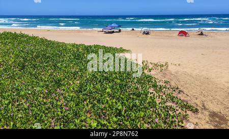 Cape Vidal, South Africa - 14 January 2023: people on the beach of Cape Vidal in Isimangaliso park, South Africa Stock Photo