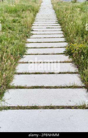 Path from concrete tiles passing through the green grass Stock Photo