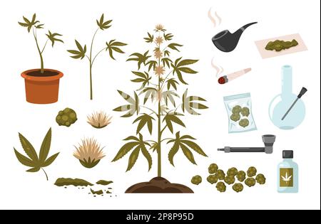 Marijuana drugs set. Hemp addiction elements hashish cigarette smoking bottle bong, green weed leaf, cannabis smoking equipment. Vector doodle Stock Vector