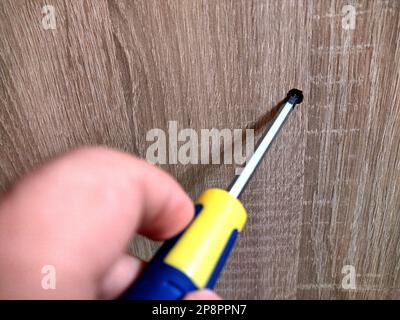 a person holds a screwdriver in his hand Stock Photo